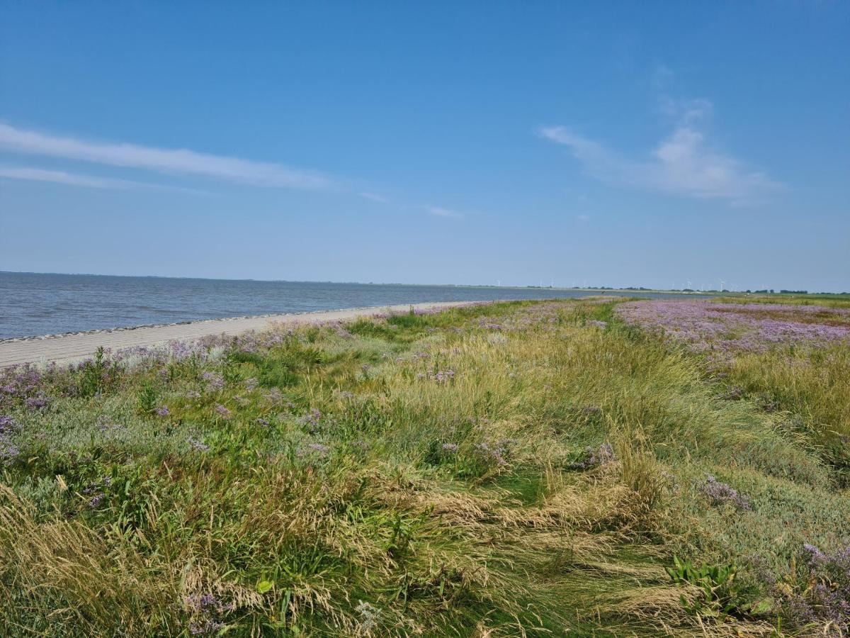 Haus Meererleben - Urlaub Mit Hund An Der Nordsee Villa Schweiburg Luaran gambar