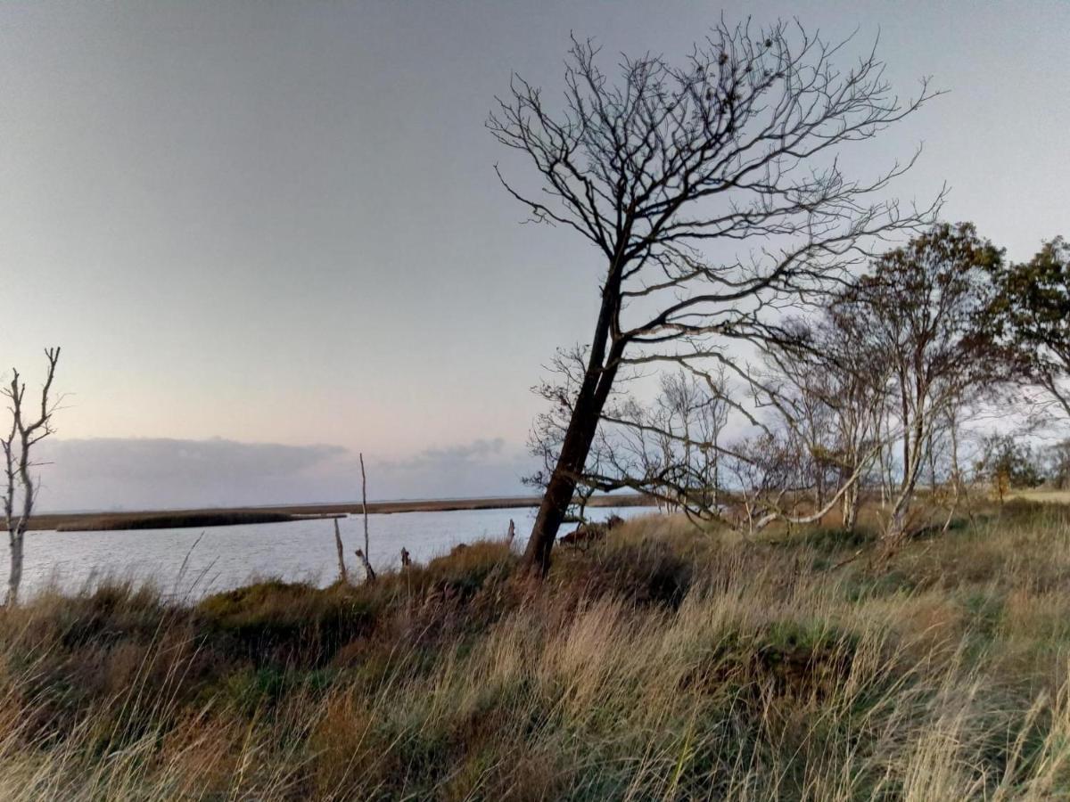 Haus Meererleben - Urlaub Mit Hund An Der Nordsee Villa Schweiburg Luaran gambar